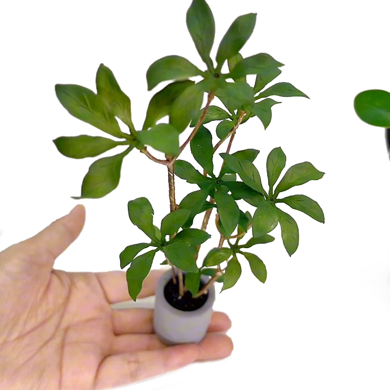 Bonsai Garden Accessories - 1:6 miniatur rumah boneka Model tanaman