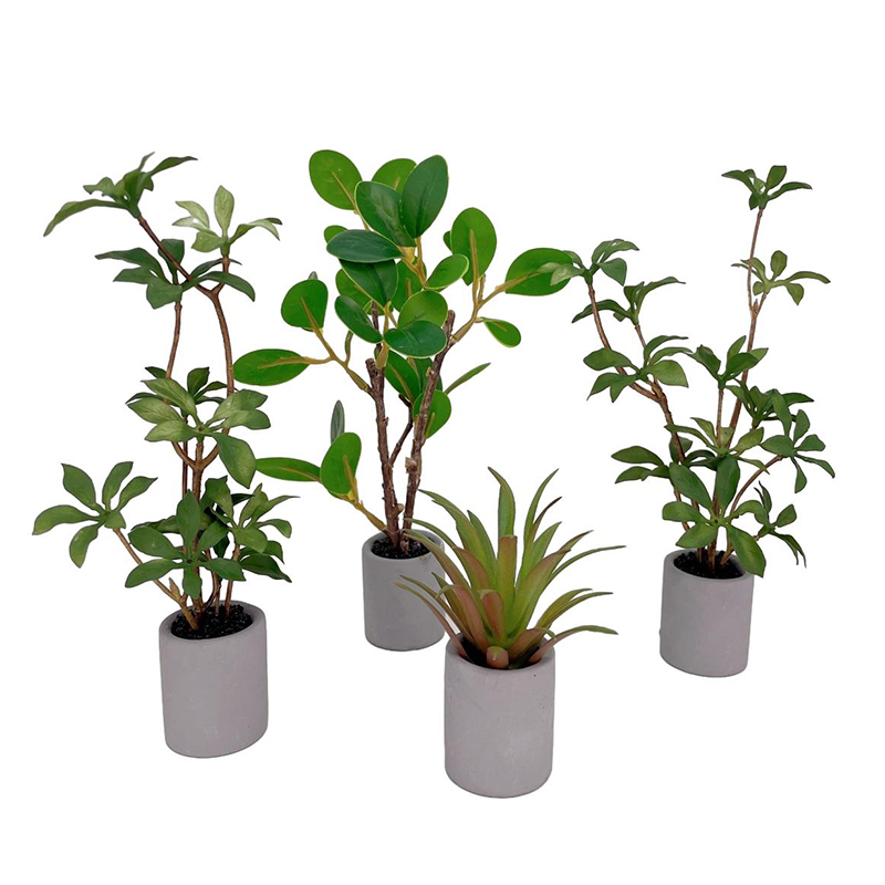 1:6 miniatur rumah boneka Mode - Bonsai Garden Accessories ulasan dan harga