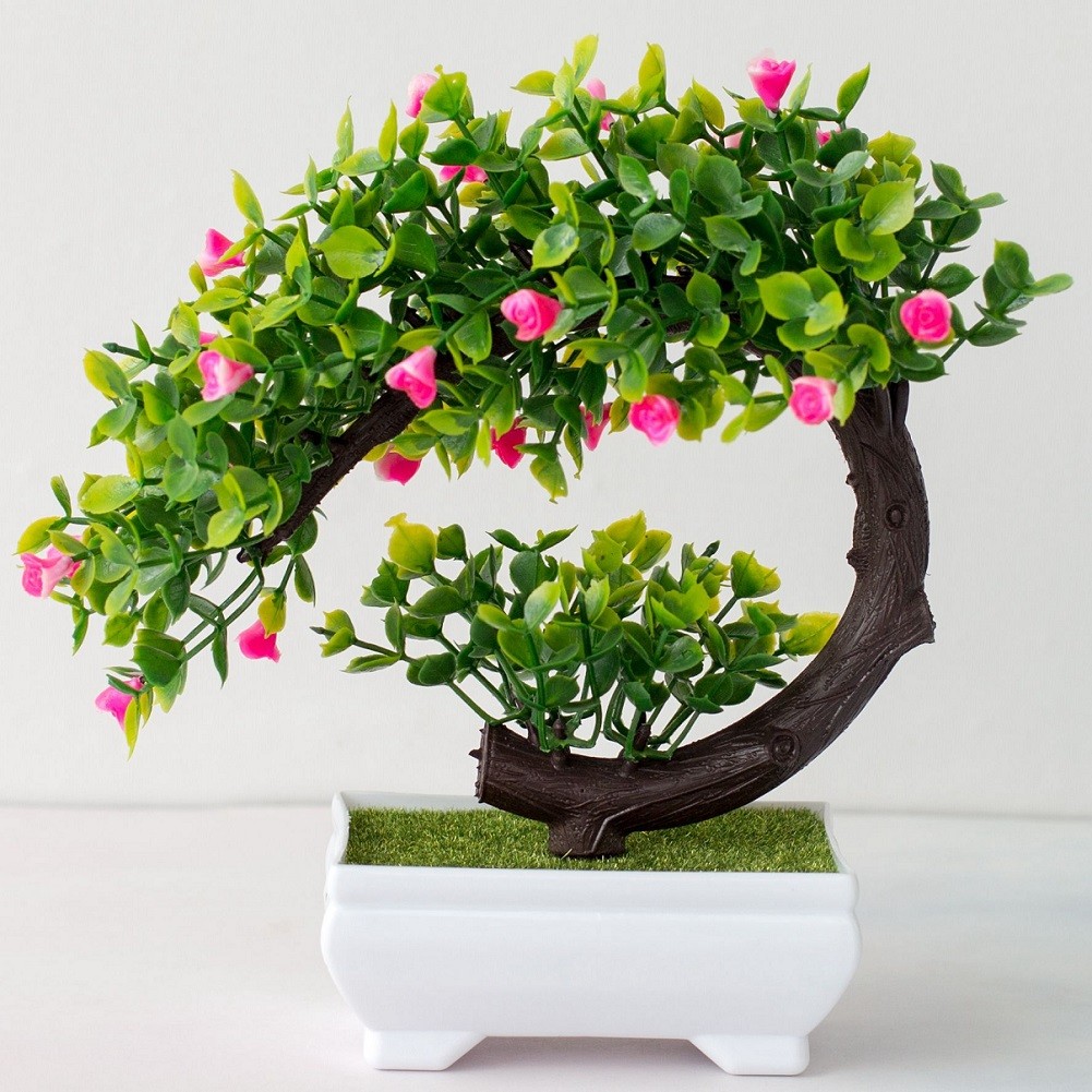 Dekorasi Pohon Tanaman Pot Bua - Bonsai Garden Display ulasan dan harga