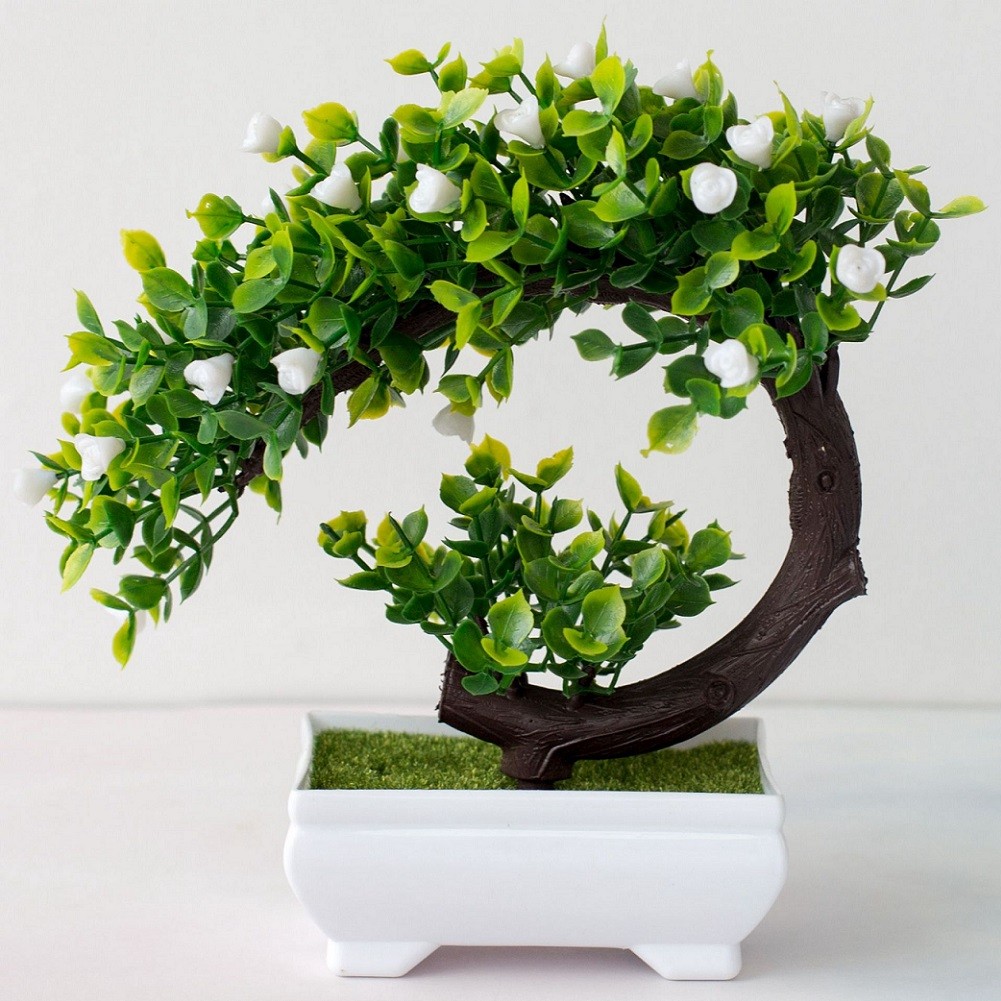 Dekorasi Pohon Tanaman Pot Bua - Bonsai Garden Display ulasan dan harga
