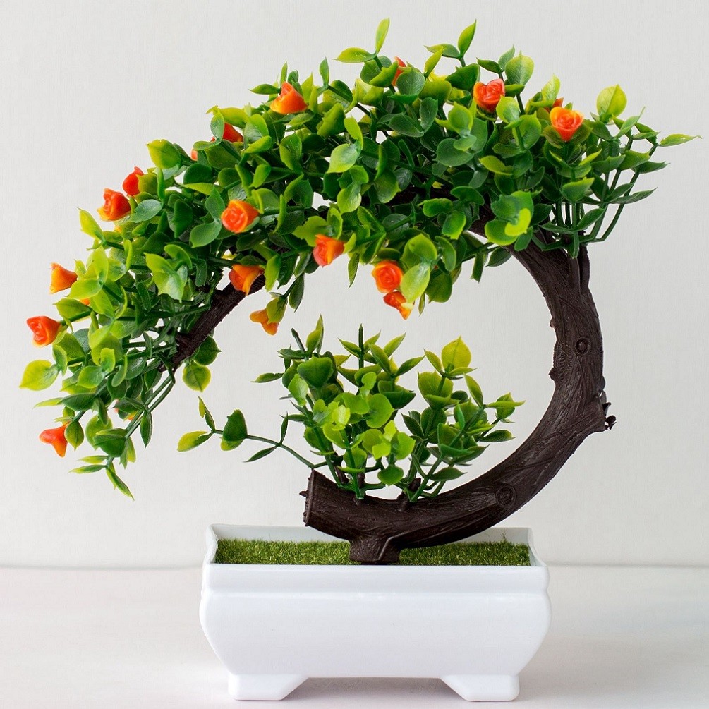 Dekorasi Pohon Tanaman Pot Bua - Bonsai Garden Display ulasan dan harga
