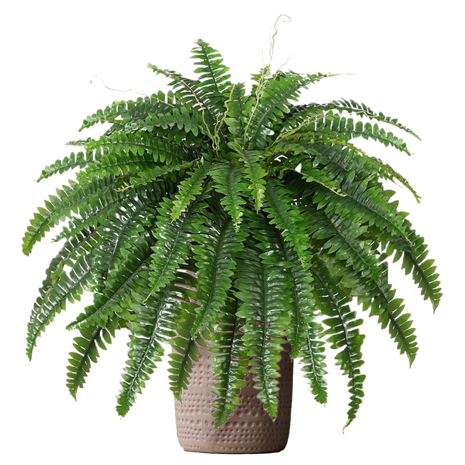 Tanaman Plastik Palsu Pakis Bo - Bonsai Garden Boston ulasan dan harga