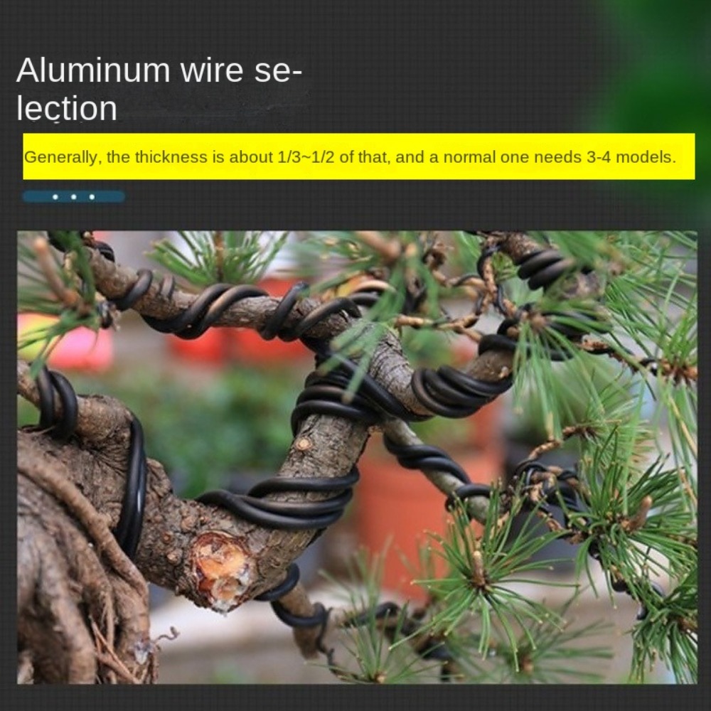 Kawat Bonsai Aluminium untuk T - Bonsai Wire Aluminum ulasan dan harga