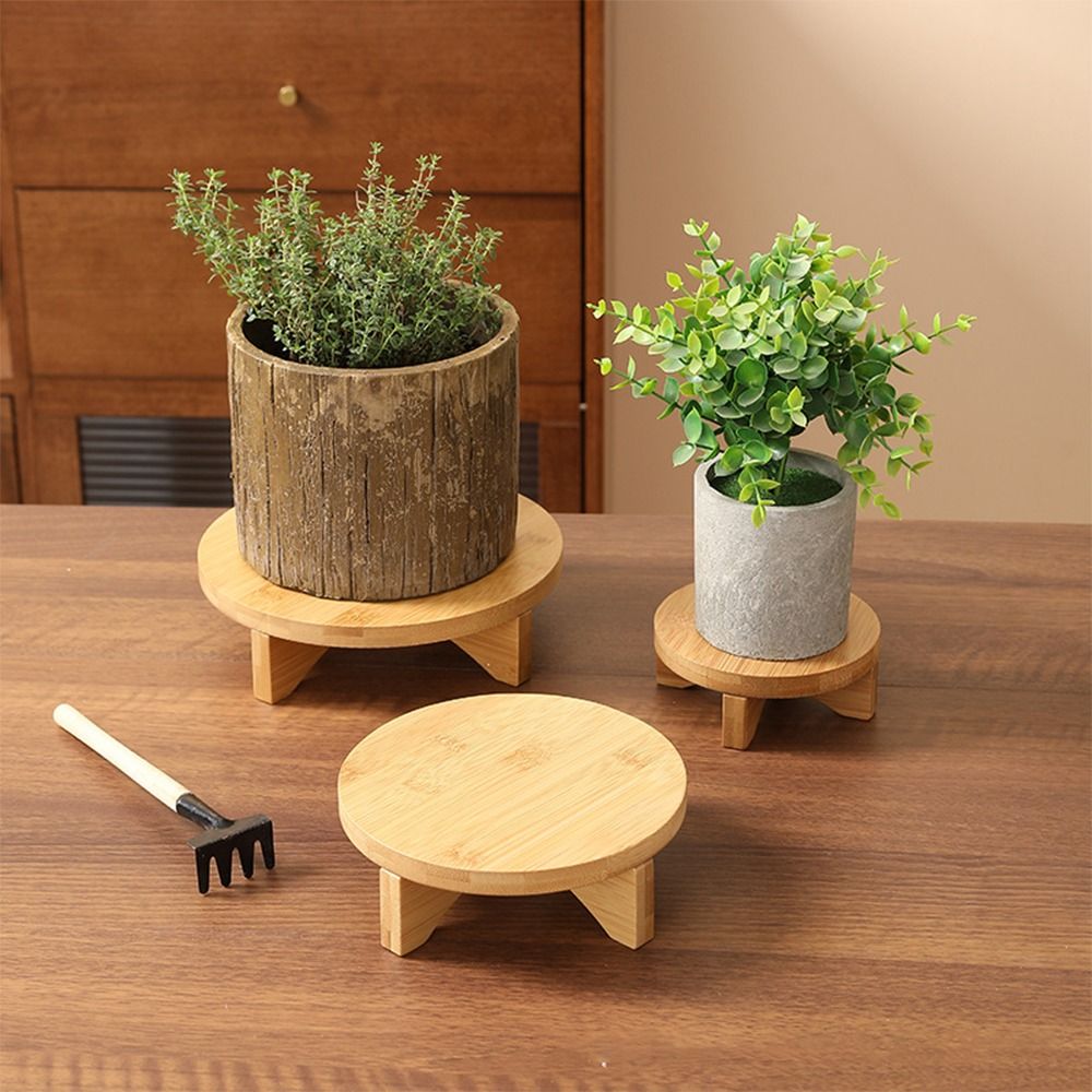 Stand Bonsai Kayu untuk Dipaja - Bonsai Garden Display ulasan dan harga