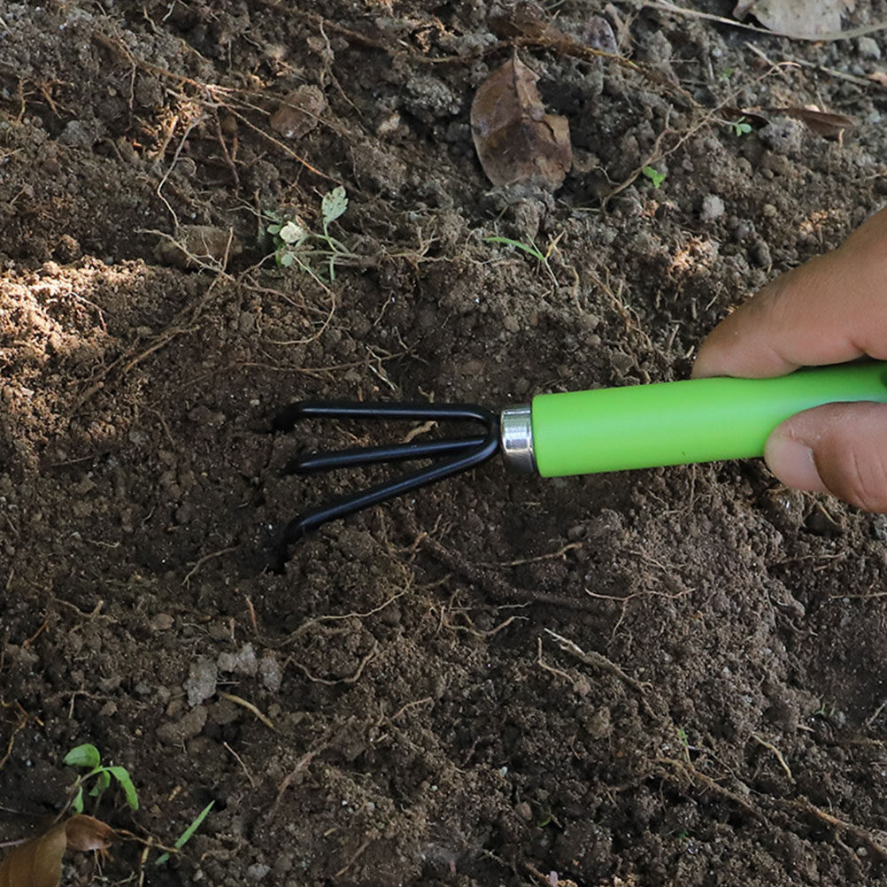 1Set Peralatan Berkebun Mini u - Bonsai Garden Grow Kit ulasan dan harga