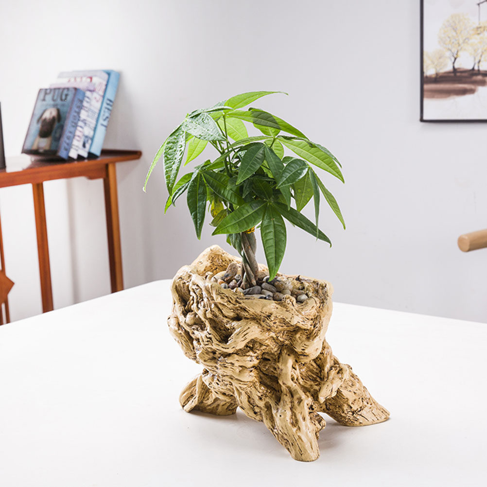 Pot Bunga Berbentuk Akar Pohon - Bonsai Garden Display ulasan dan harga