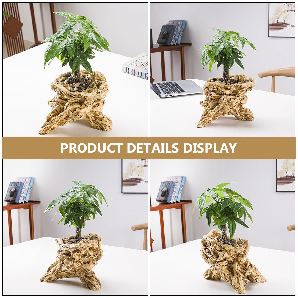 Pot Bunga Berbentuk Akar Pohon - Bonsai Garden Display ulasan dan harga