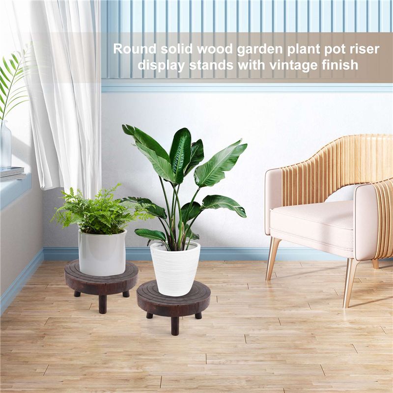 ABHU 2 Buah Rak Pajangan Bunga - Bonsai Garden Display ulasan dan harga