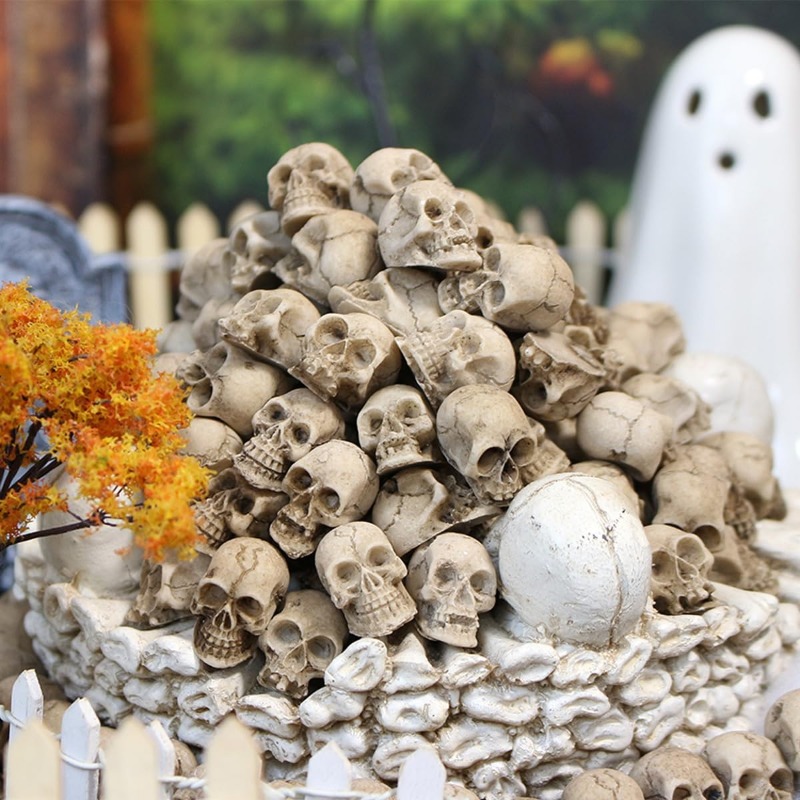 Figurine Tengkorak Resin Reali - Bonsai Garden Display ulasan dan harga