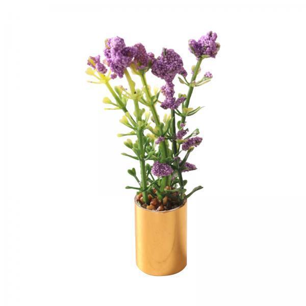 Ornamen Tanaman Pot Miniatur S - Bonsai Garden Display ulasan dan harga