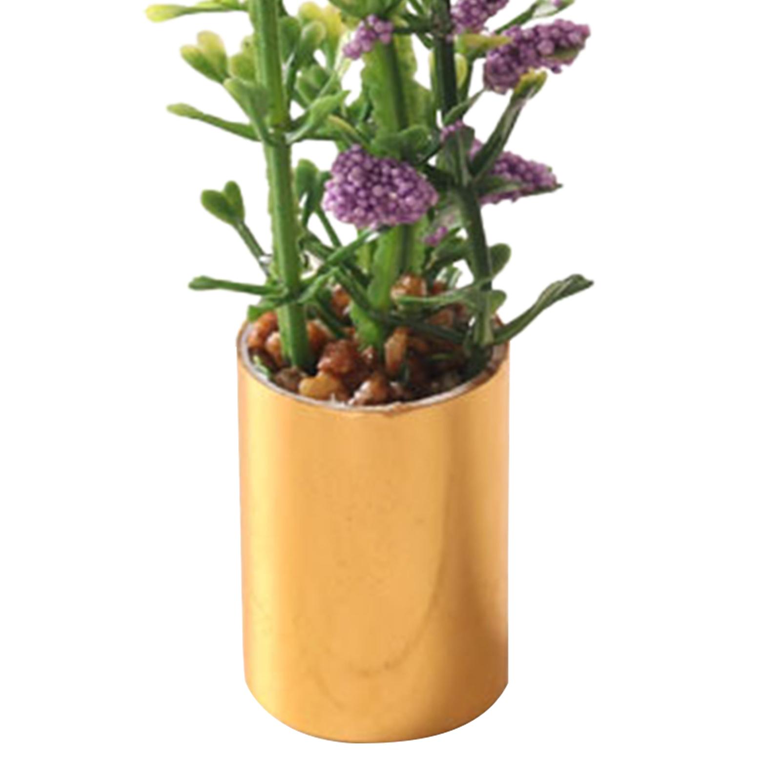 Ornamen Tanaman Pot Miniatur S - Bonsai Garden Display ulasan dan harga