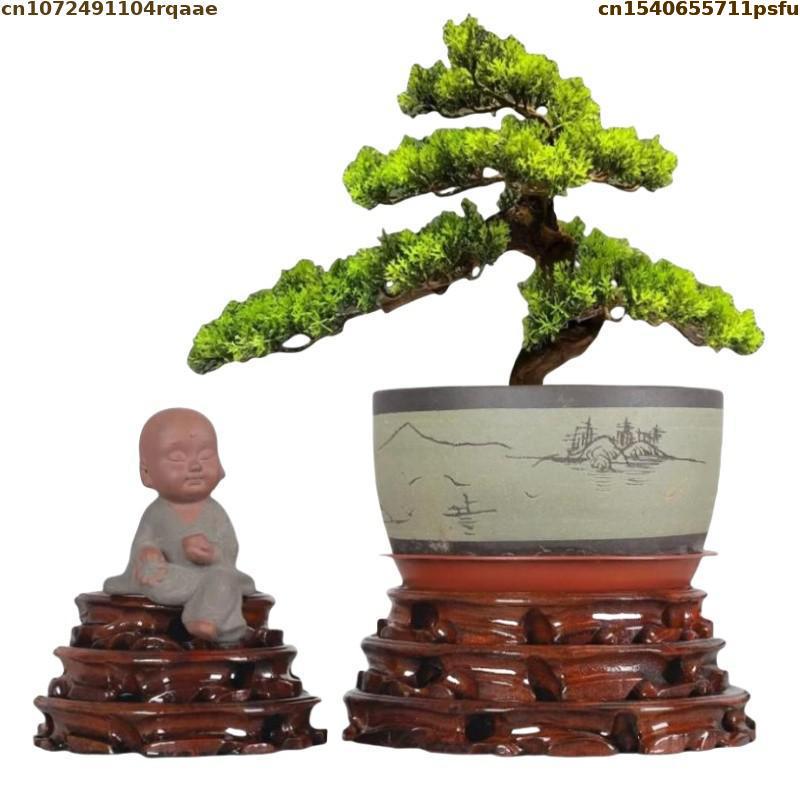 6-30cm Diameter berdiri dasar  - Bonsai Garden Display ulasan dan harga
