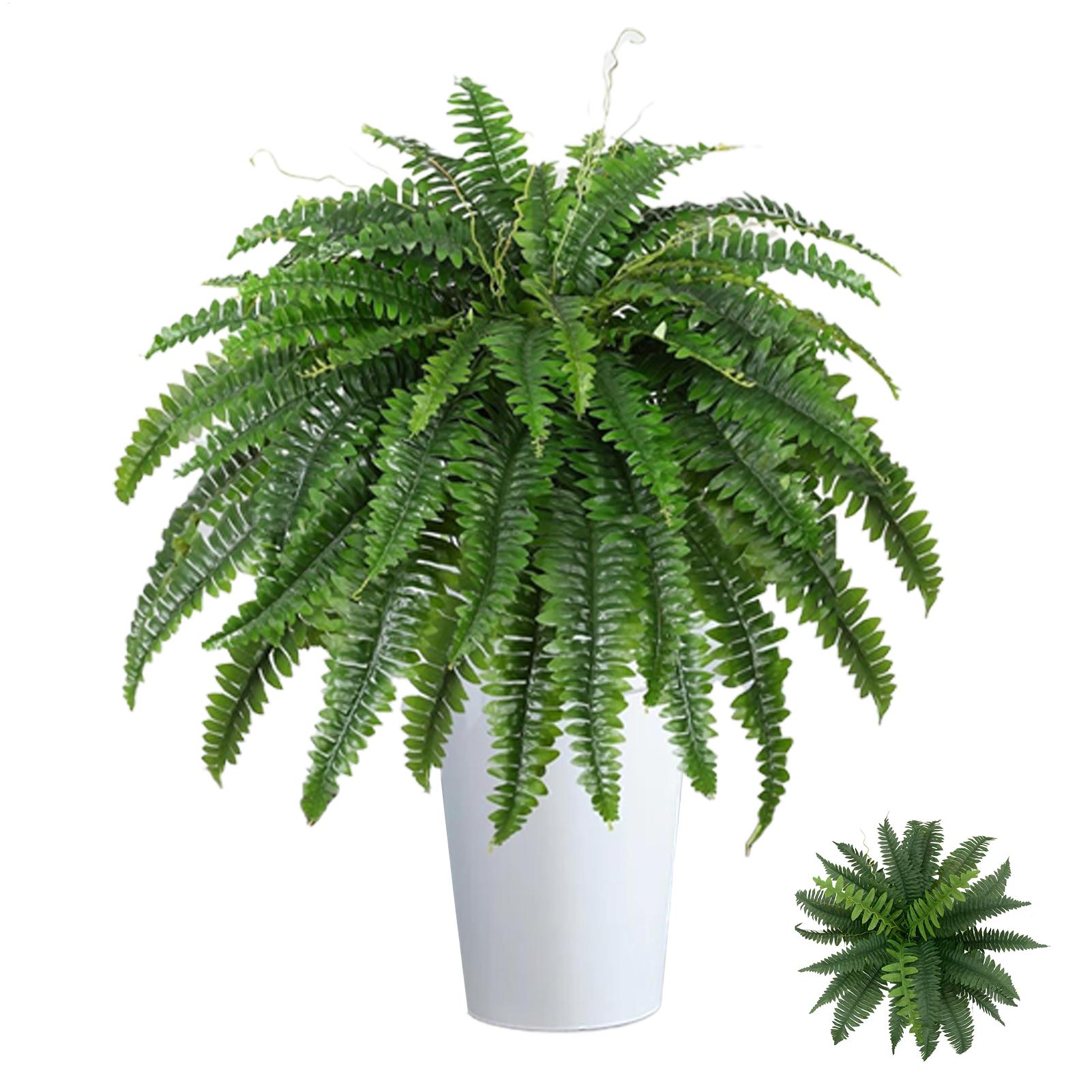 Tanaman Hias Palsu Boston Fern - Bonsai Garden Boston ulasan dan harga